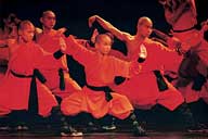 Shaolin Wheel Of Life Stage Prologue - group